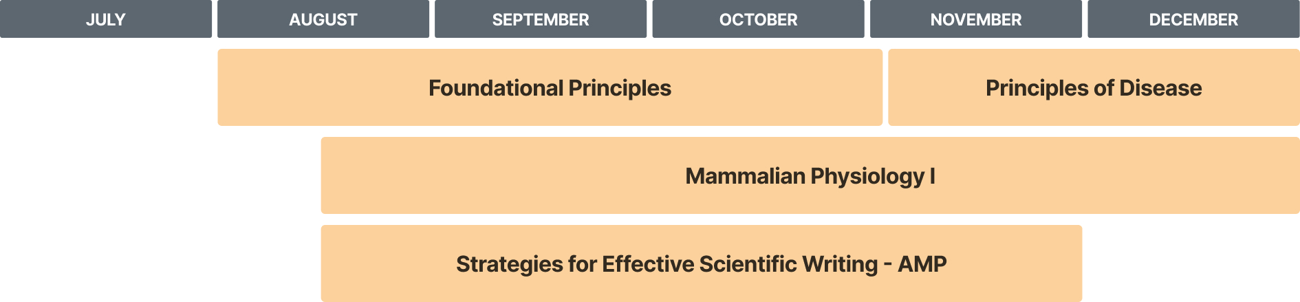 Accelerated iBMS curriculum overview schedule from July-December