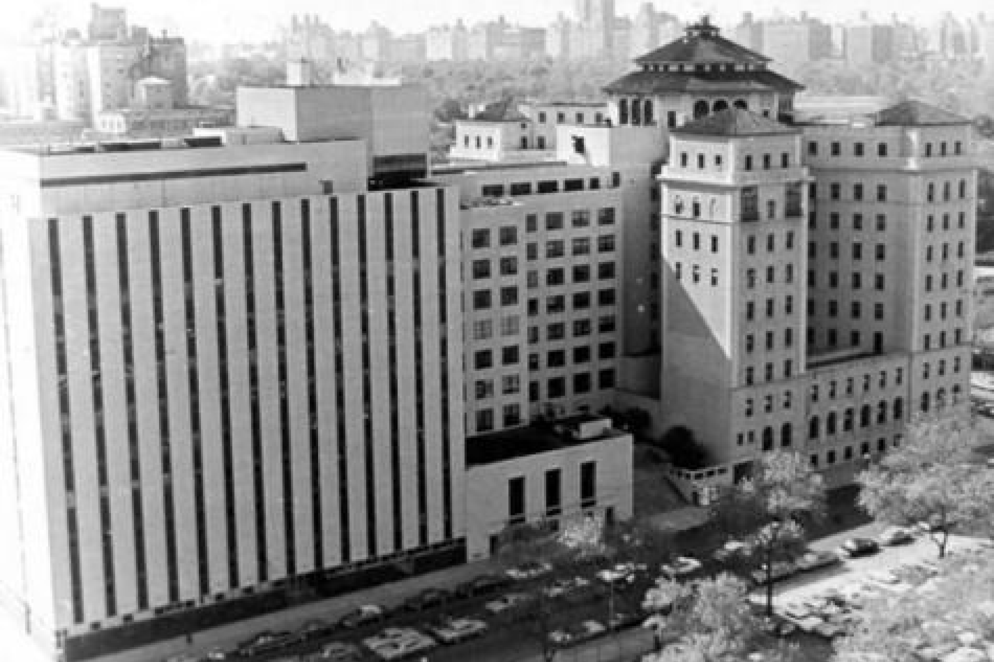 The Cohen research building and NYMC and Flower-Fifth Avenue hospital. Tall and wide buildings that are light in color