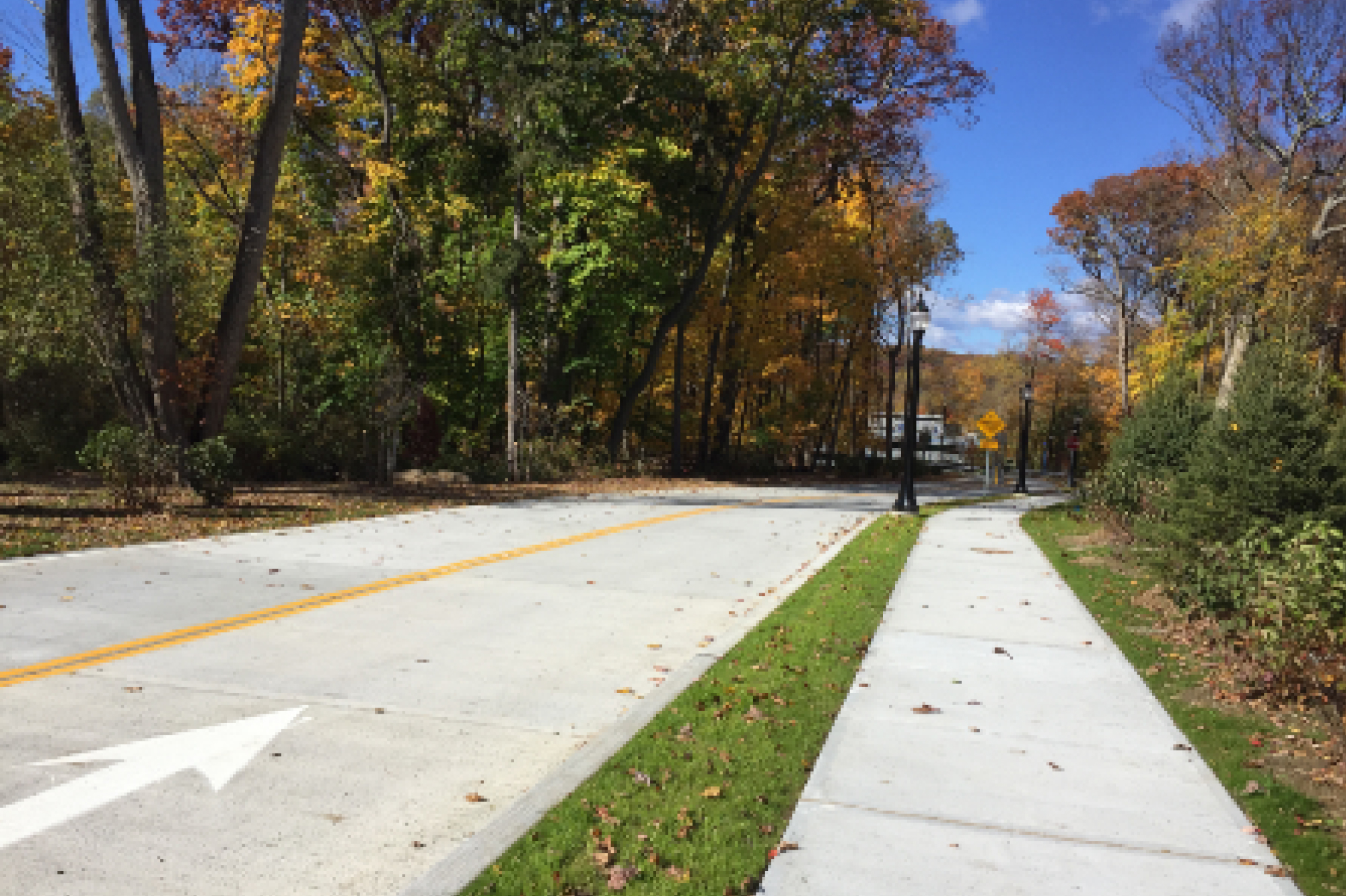 The quarter mile driveway with a sidewalk next to it and large trees with green and yellow leaves along it