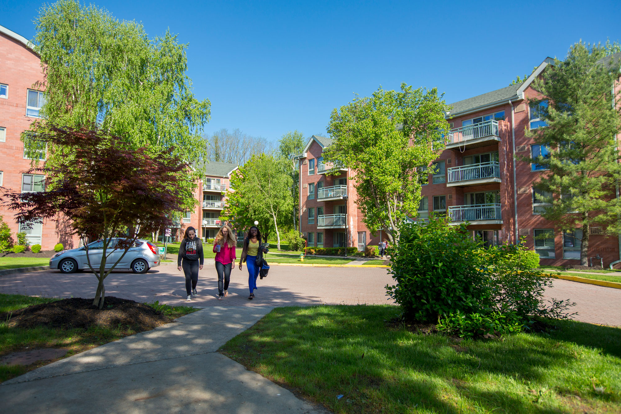 Three students walking in front of dorms on sunny day