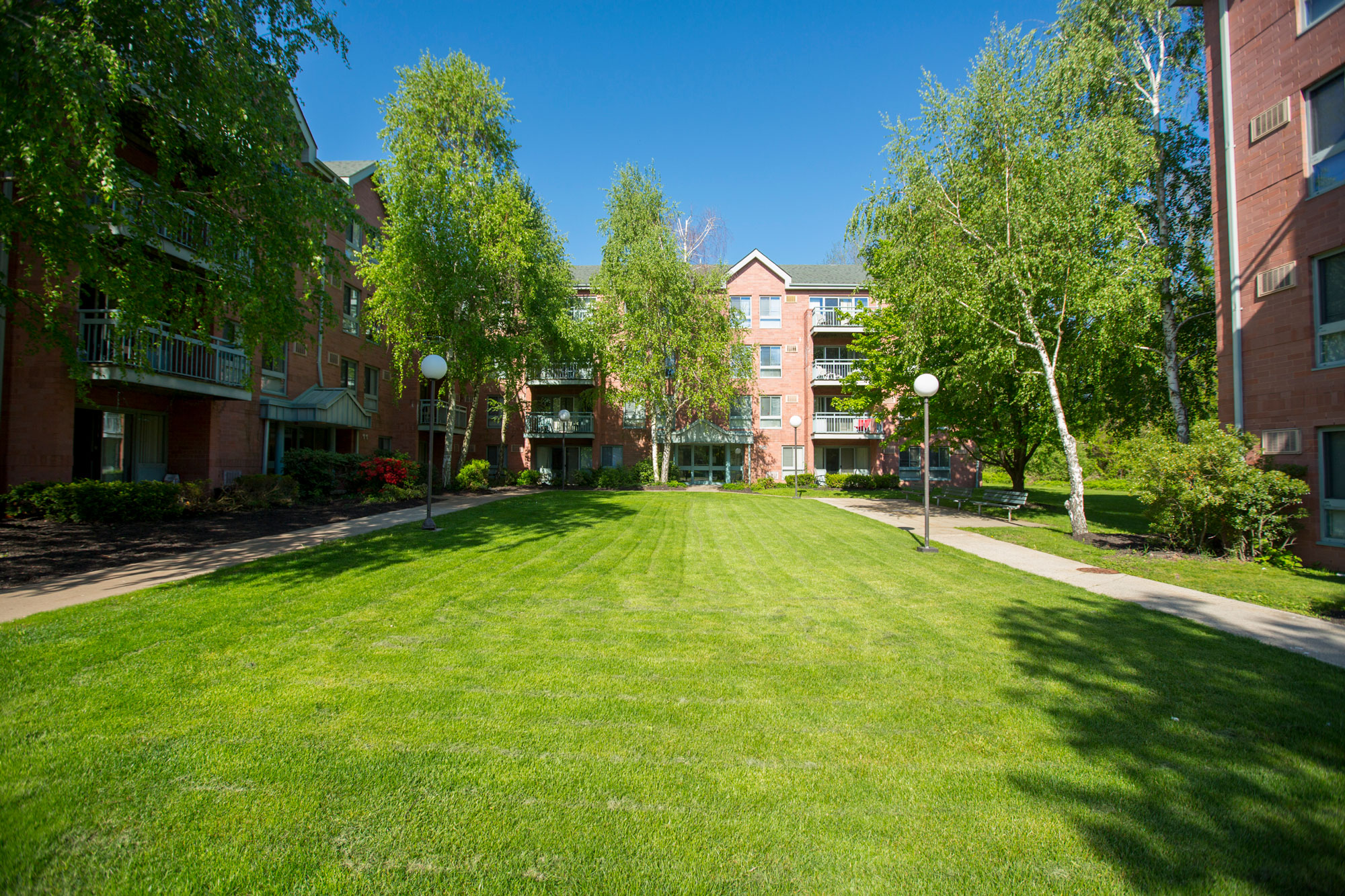 NYMC dorms on a sunny day