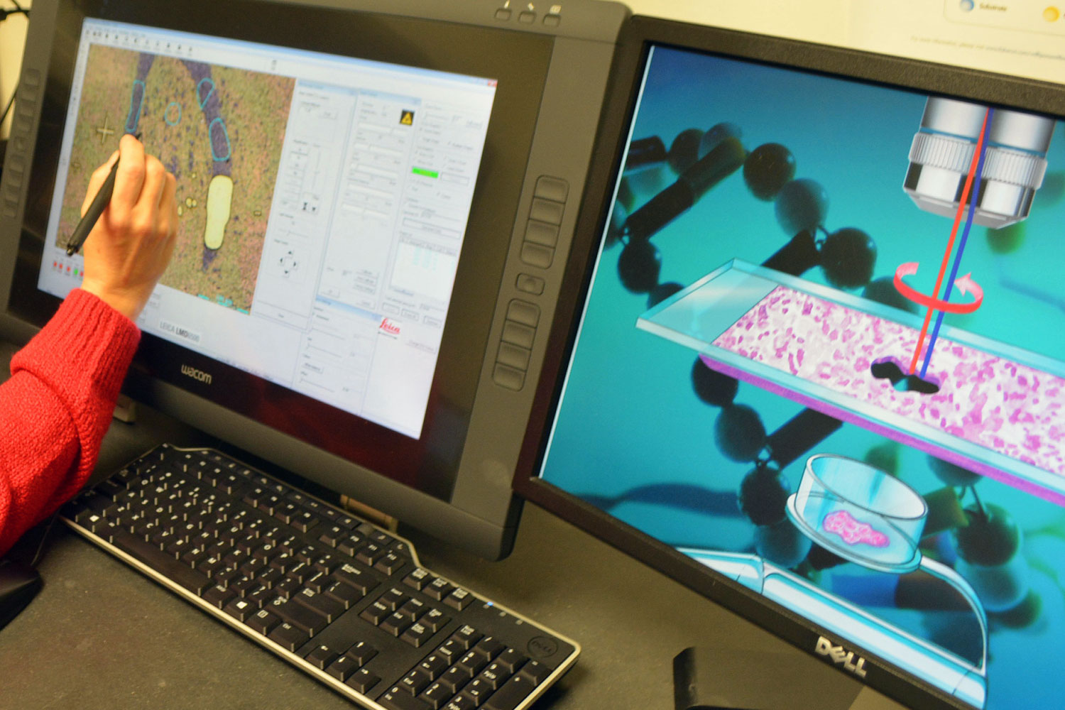 Researcher working on touchscreen device using a stylist