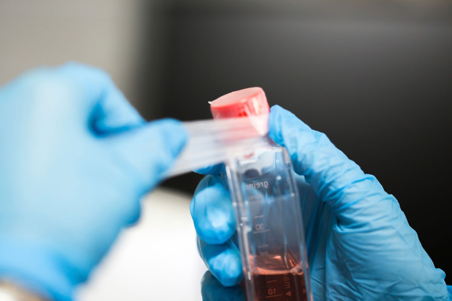 Researcher's hands working with sample in container