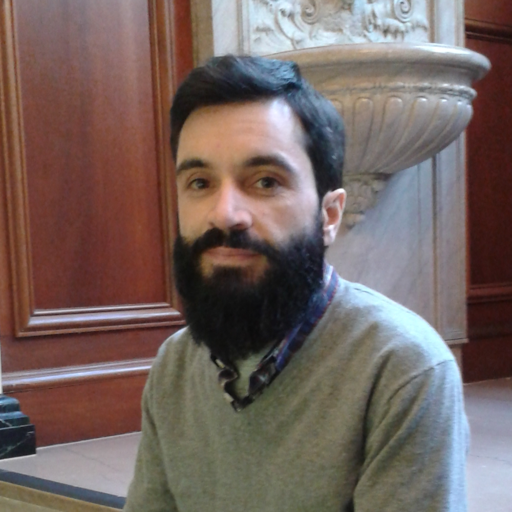 Man with beard in green sweater looking at camera