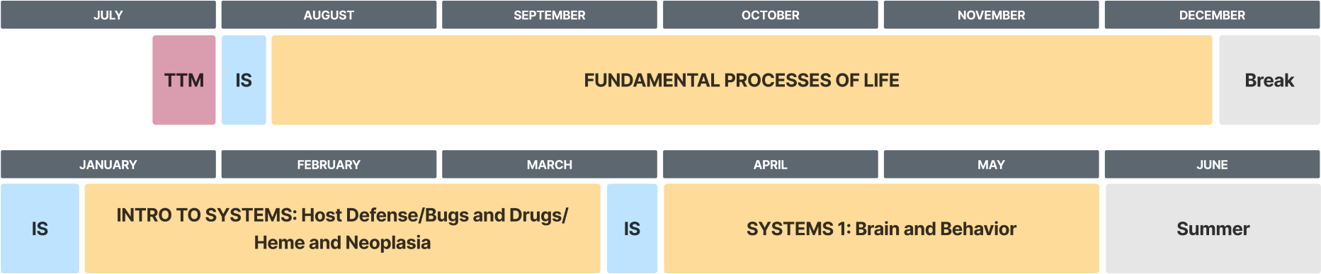 A sample schedule outlining phase 1, year 1 of the M.D. program curriculum. This phase runs from July through June.